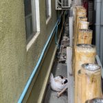 金边一外国女子坠亡-博彩交流-博彩策略-博彩信誉网