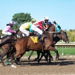 新负进法的心理战术：保持冷静与专注-博彩交流-博彩策略-博彩信誉网