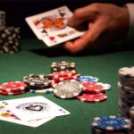 白菜论坛的审核速度快吗？深入探讨这一热点话题-博彩交流-博彩策略-博彩信誉网