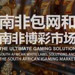 彩票中奖故事大揭秘,概率与运气的较量-博彩交流-博彩策略-博彩信誉网